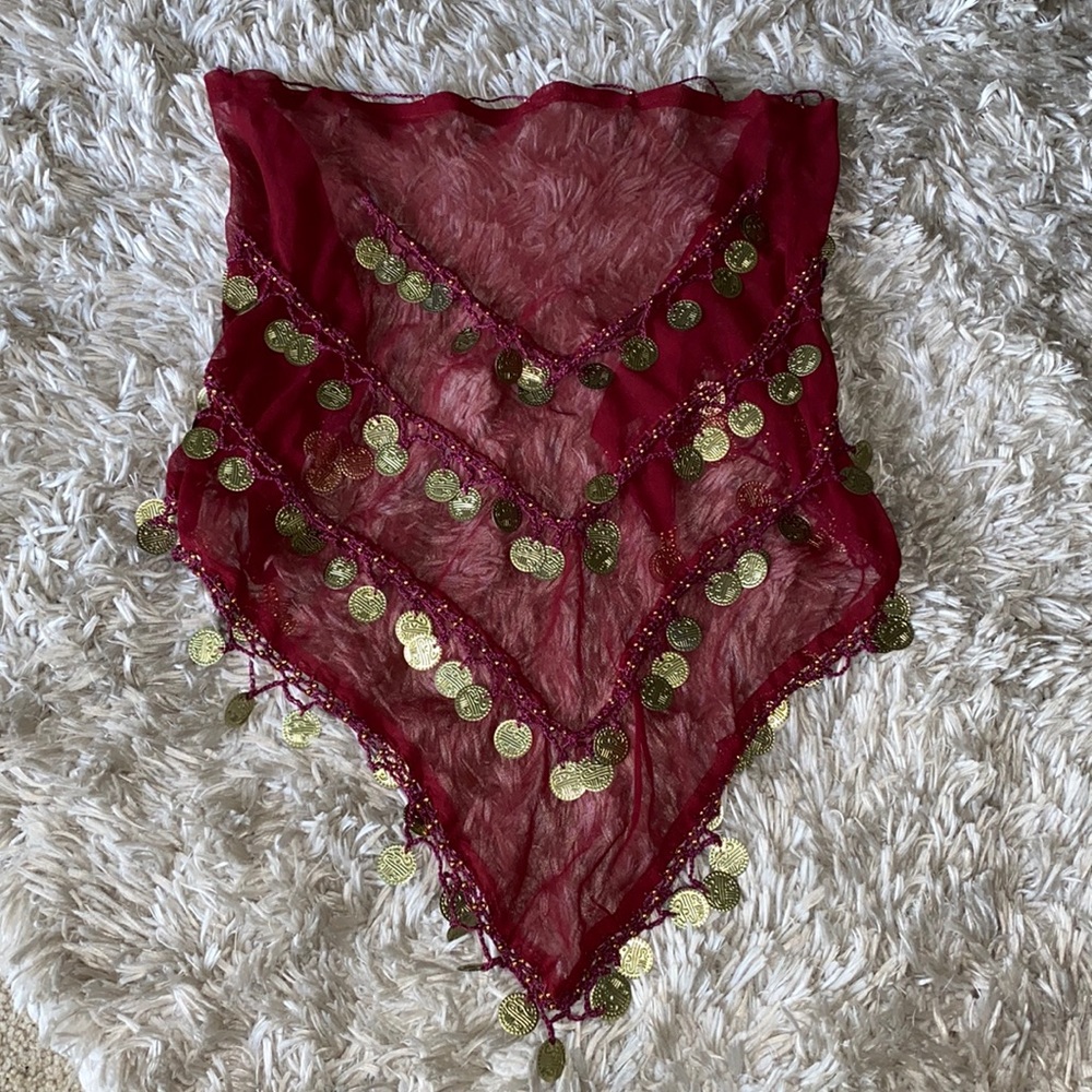 Chiffon Dangling Gold Coins Belly Dance Hip Skirt